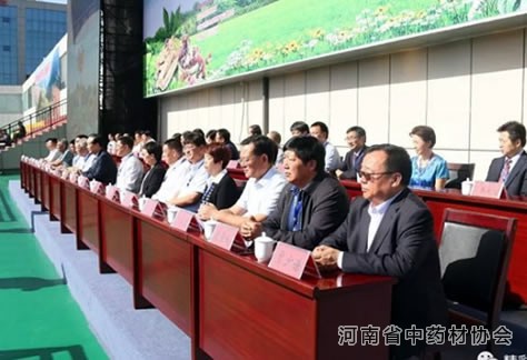 贾少谦应邀参加药王孙思邈医药文化旅游节