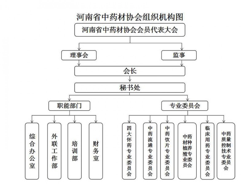 新建 PPT 演示文稿