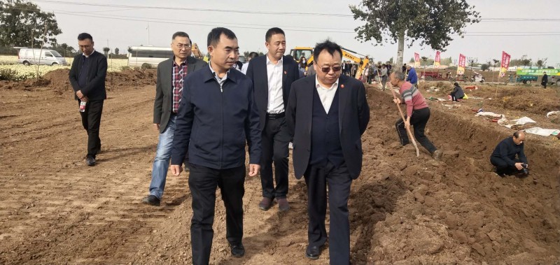 06　参观怀山药采收现场