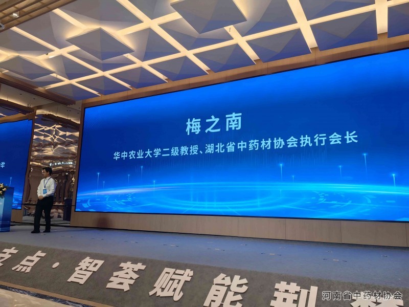 梅之南